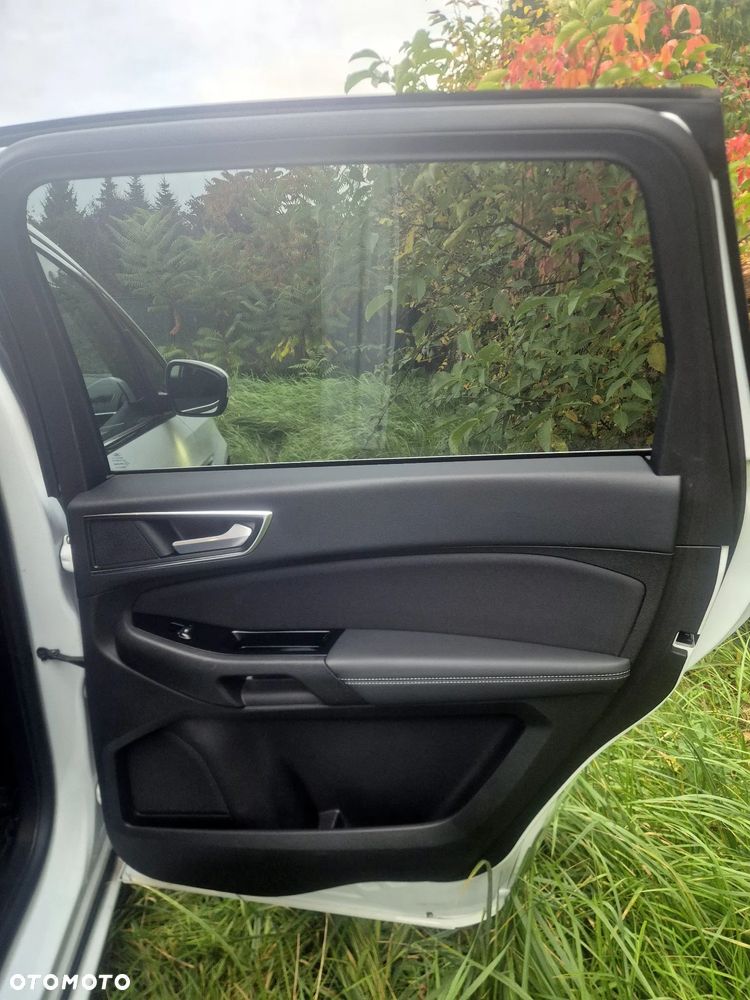 Ford S-Max 2.0 EcoBlue Titanium - 19