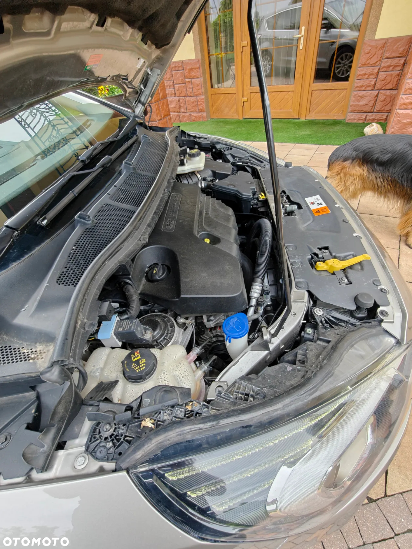 Ford S-Max 2.0 TDCi Titanium PowerShift - 35