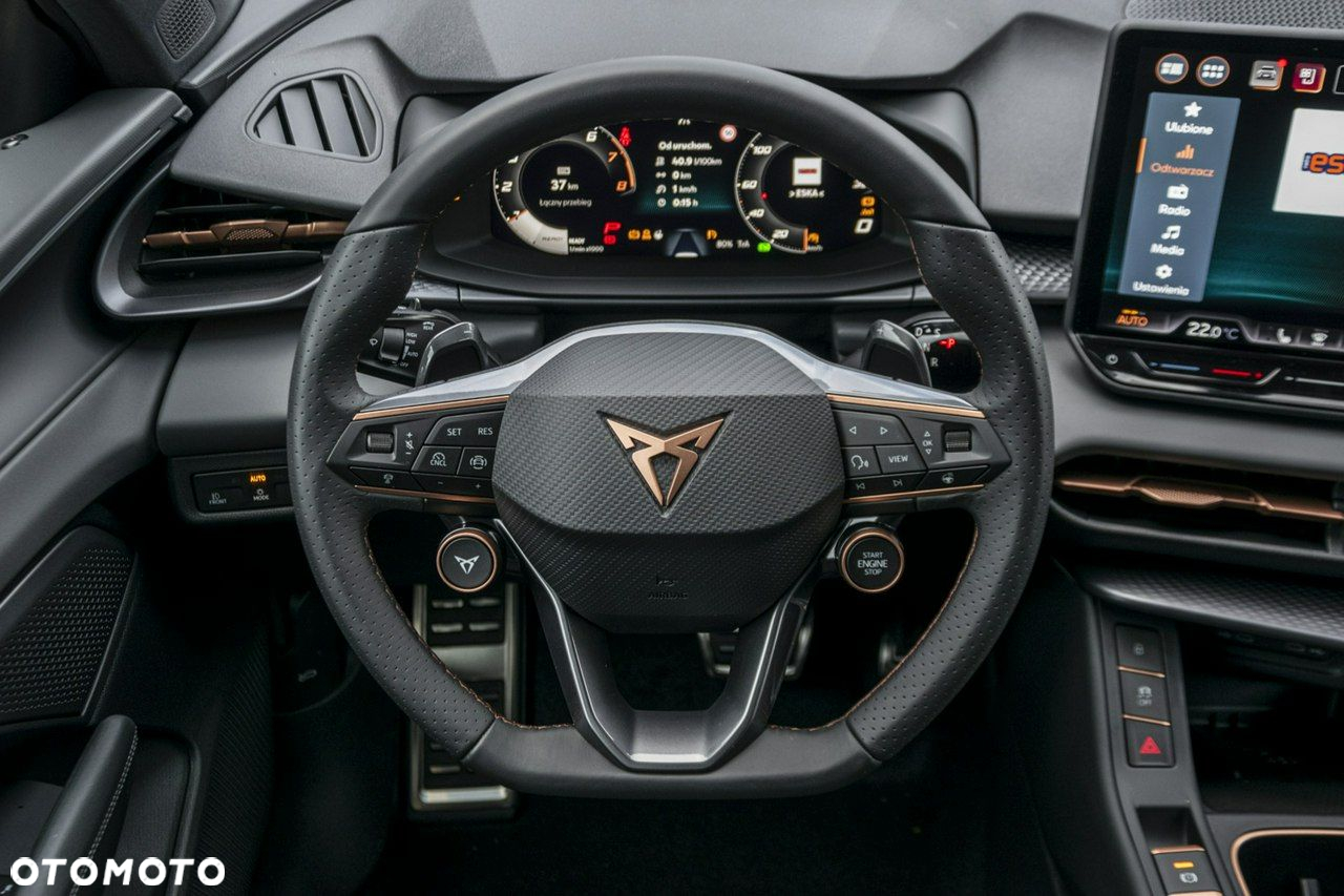 Cupra Terramar - 16