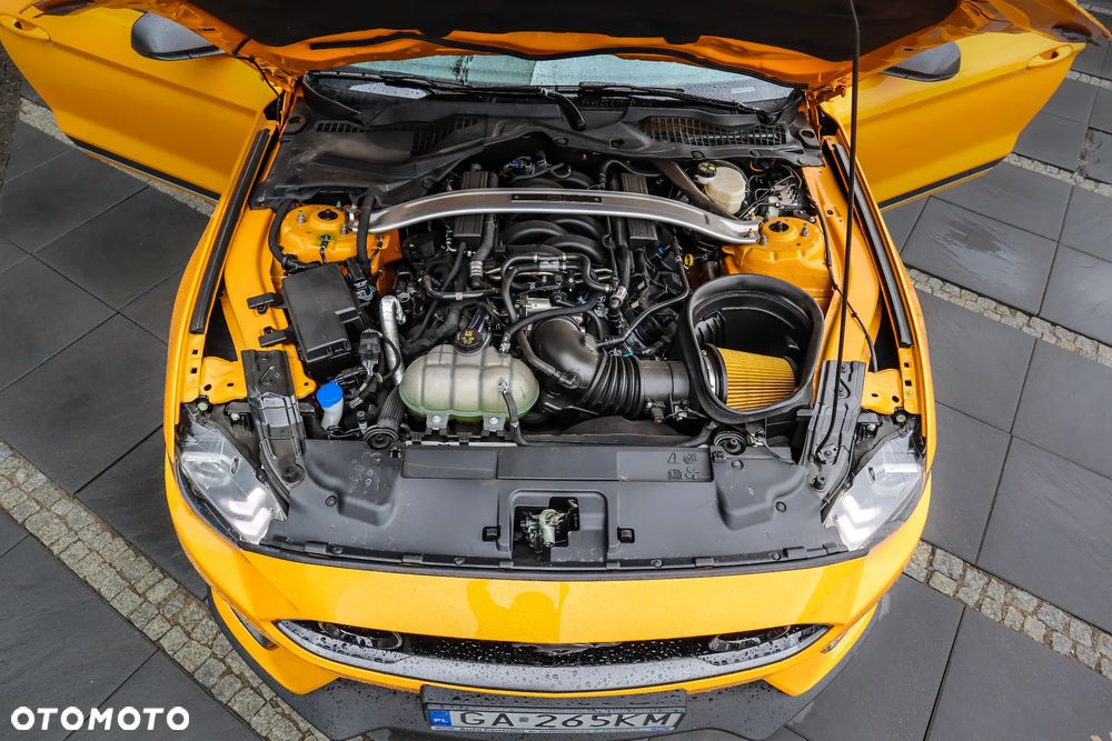 Ford Mustang 5.0 V8 Mach 1 - 5