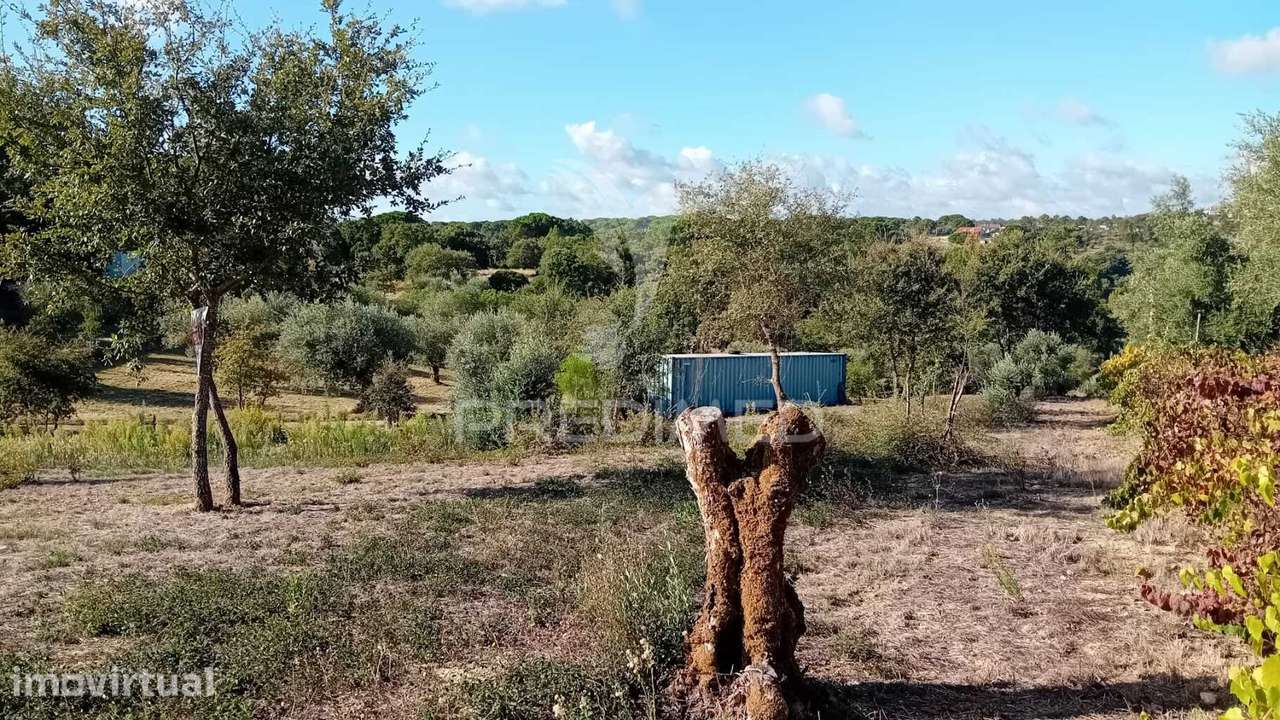 Terreno para construção em Seiça - Grande imagem: 3/21