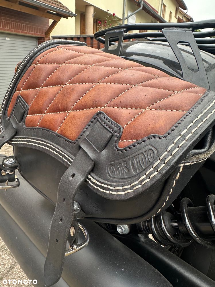 Indian Scout - 11