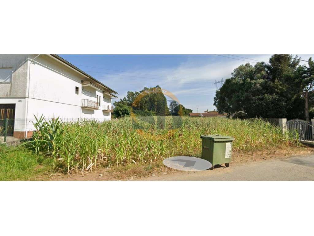 Oportunidade única Terreno em Oliveira de Azeméis - Grande imagem: 3/3