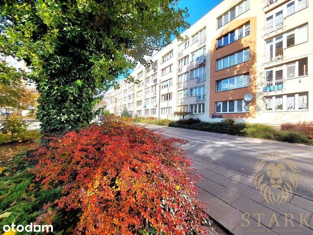 Słoneczne 2 pokoje Szczecin Niebuszewo