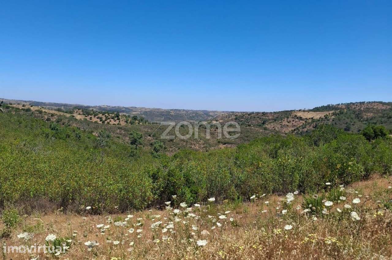 Terreno Rústico com 200.000m2 em Vale das Urzes, Salir - Grande imagem: 5/18