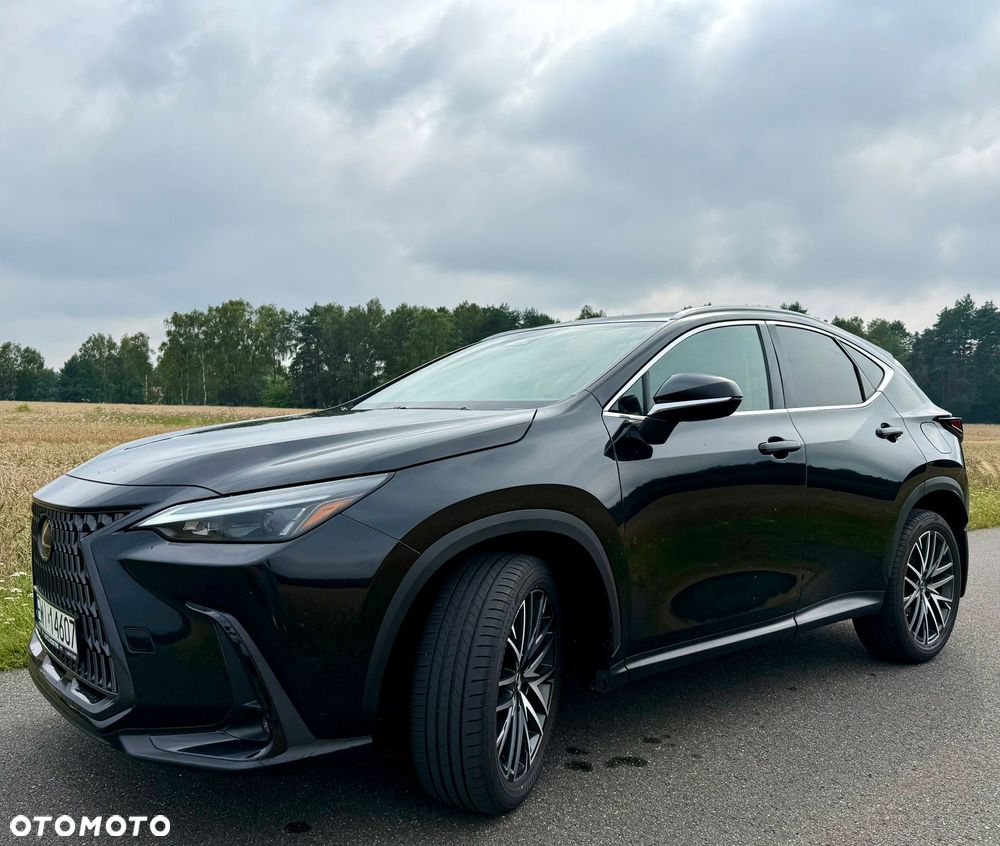 Lexus NX 300 - 1
