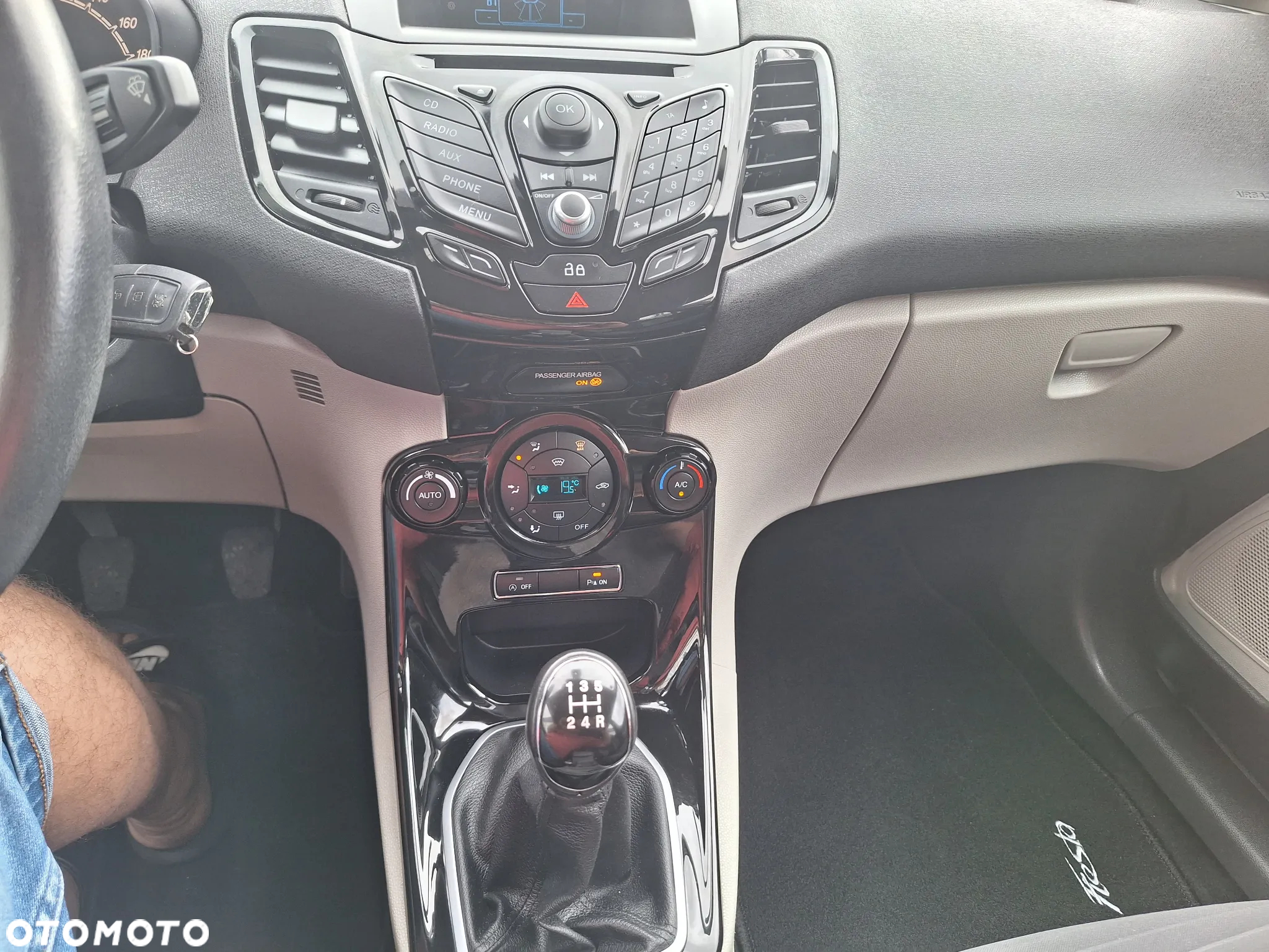 Ford Fiesta 1.0 EcoBoost Titanium ASS EU6 - 19