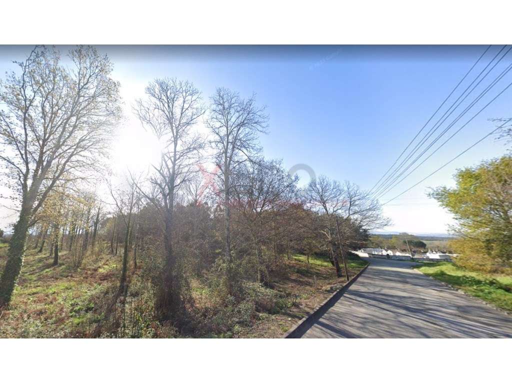 Terreno Urbanizável, Quinta da Bica em Santa Comba Dão - Grande imagem: 5/9