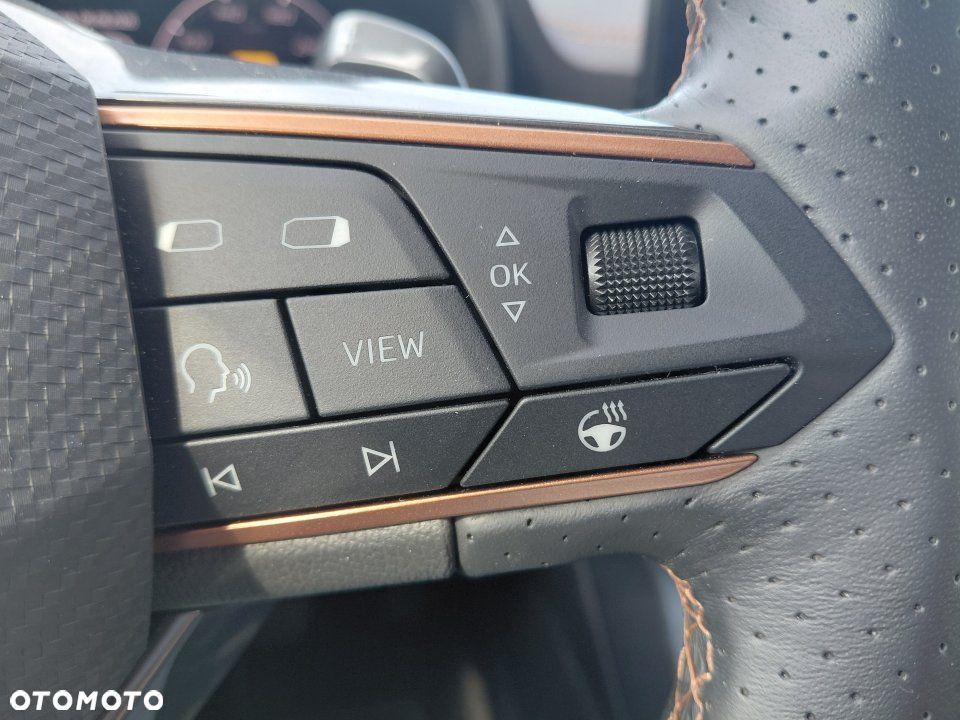 Cupra Formentor - 20