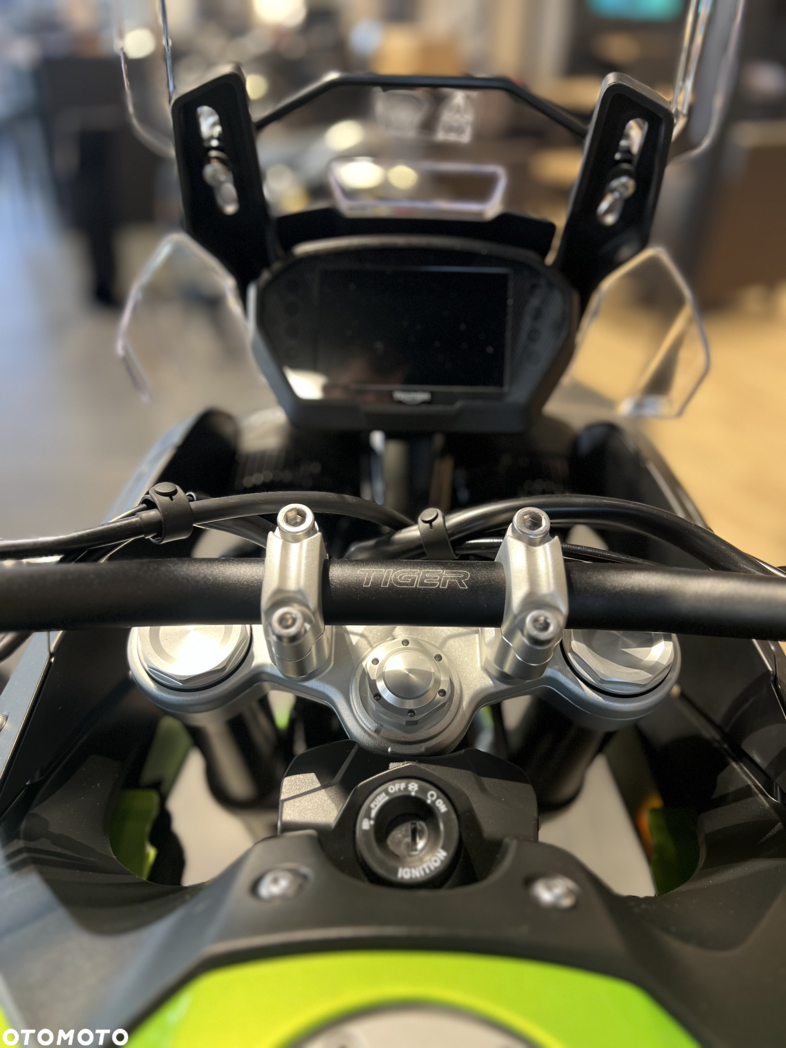 Triumph Tiger - 20