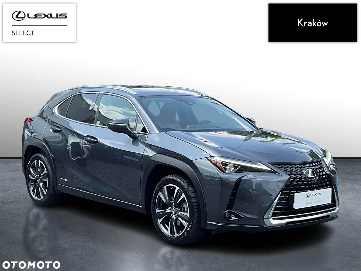 Lexus UX - 7