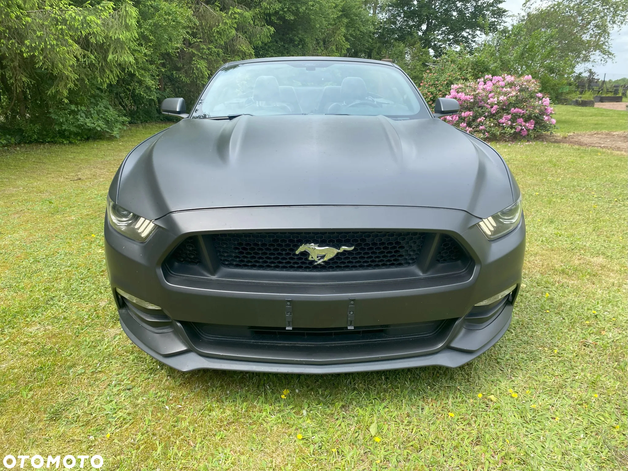 Ford Mustang 3.7 V6 - 2