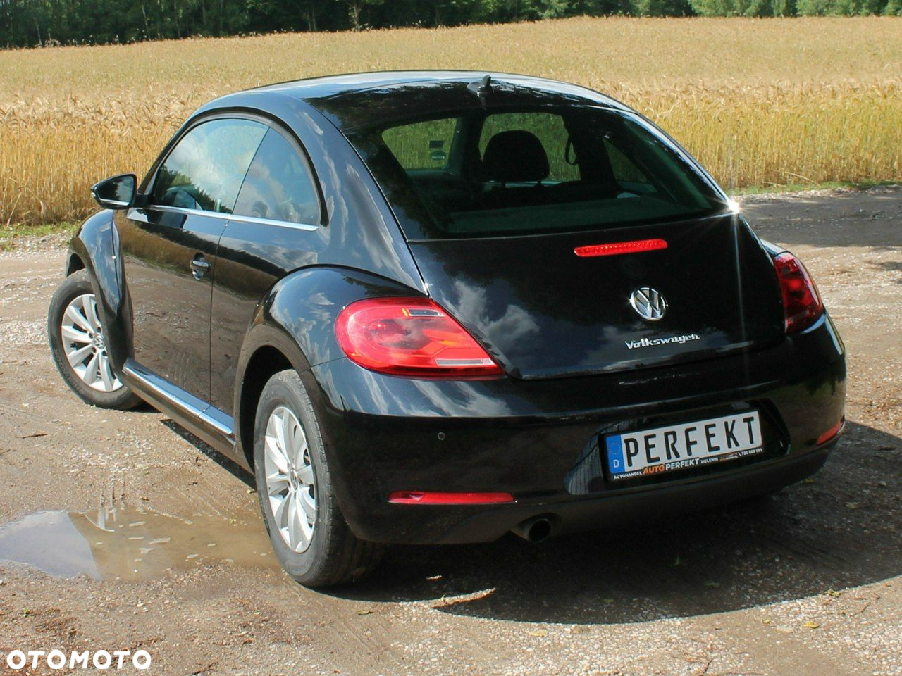 Volkswagen Beetle - 21