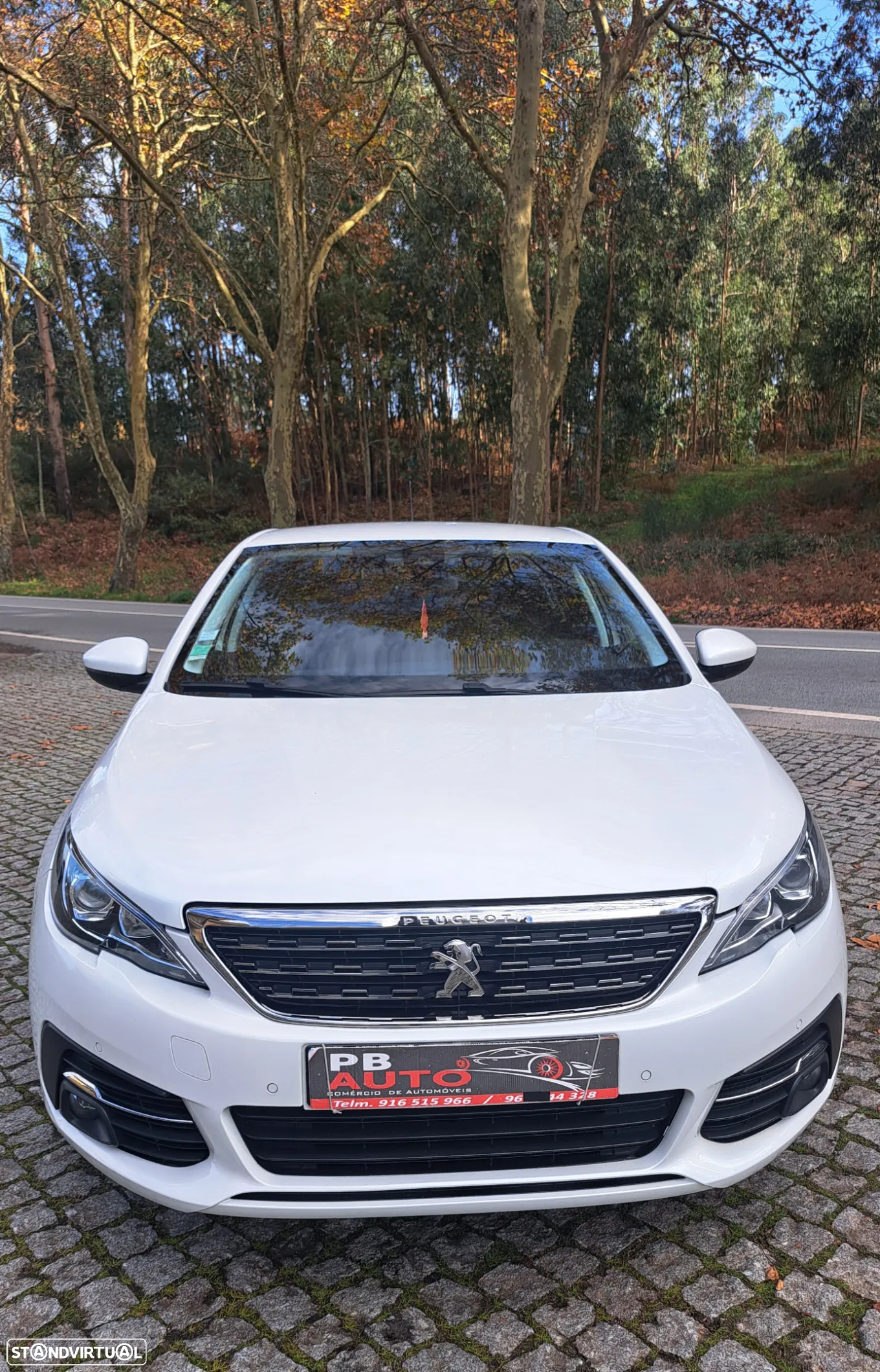 Peugeot 308 1.6 BlueHDi GT Line - 21