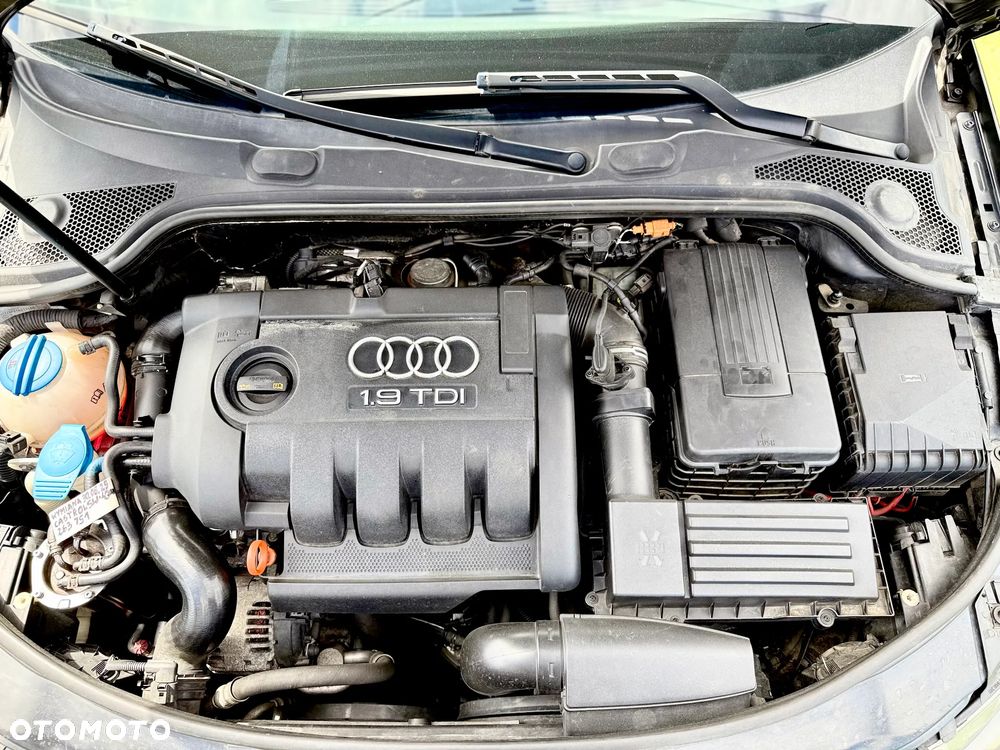 Audi A3 3-drzwiowe 1.9 TDI DPF Ambiente - 23