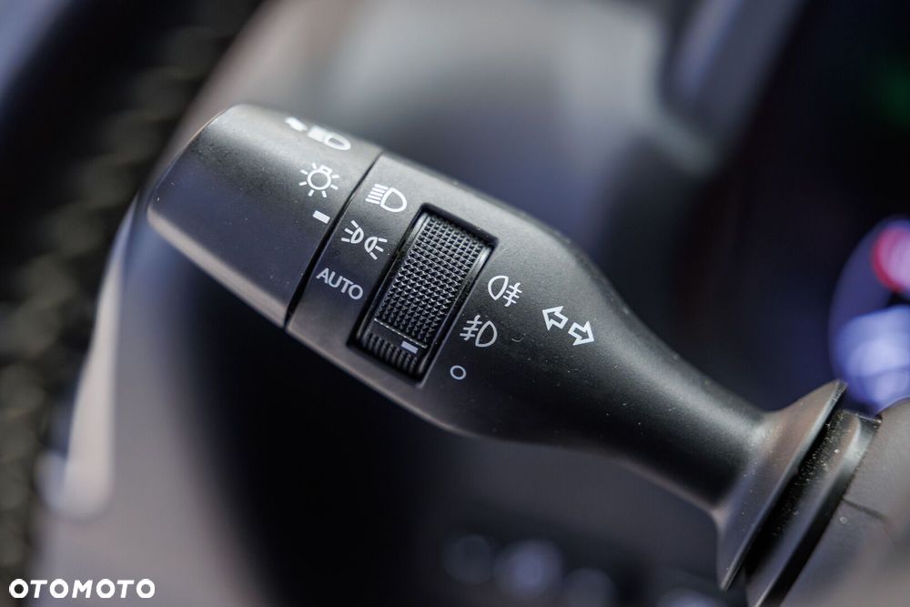 Lexus NX 300h Business Edition AWD - 29