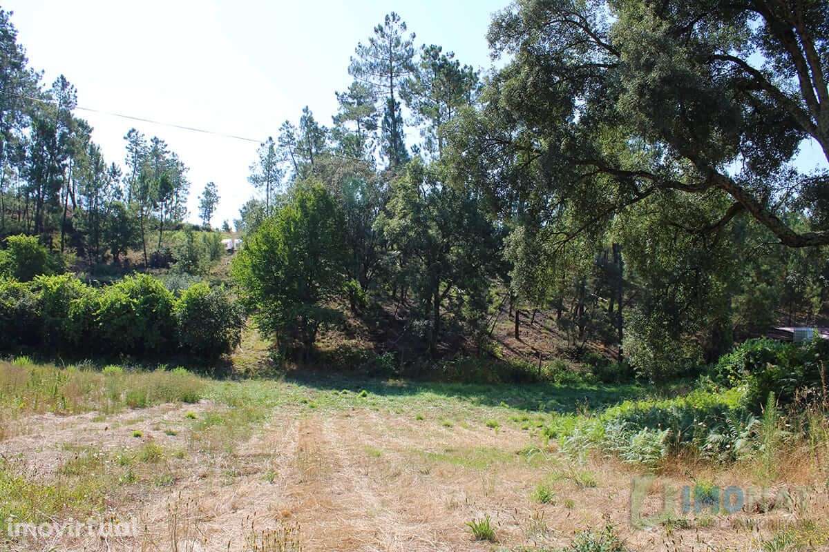 Lote de Terreno - Grande imagem: 3/15