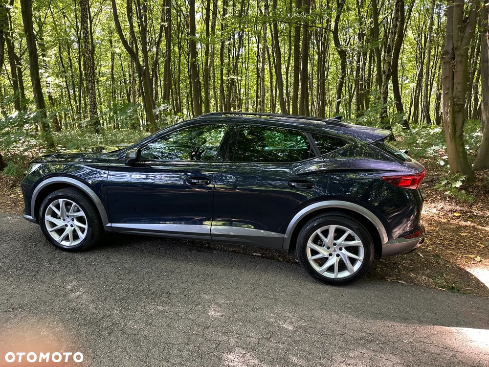 Cupra Formentor 1.5 TSI DSG Tribe Edition - 13
