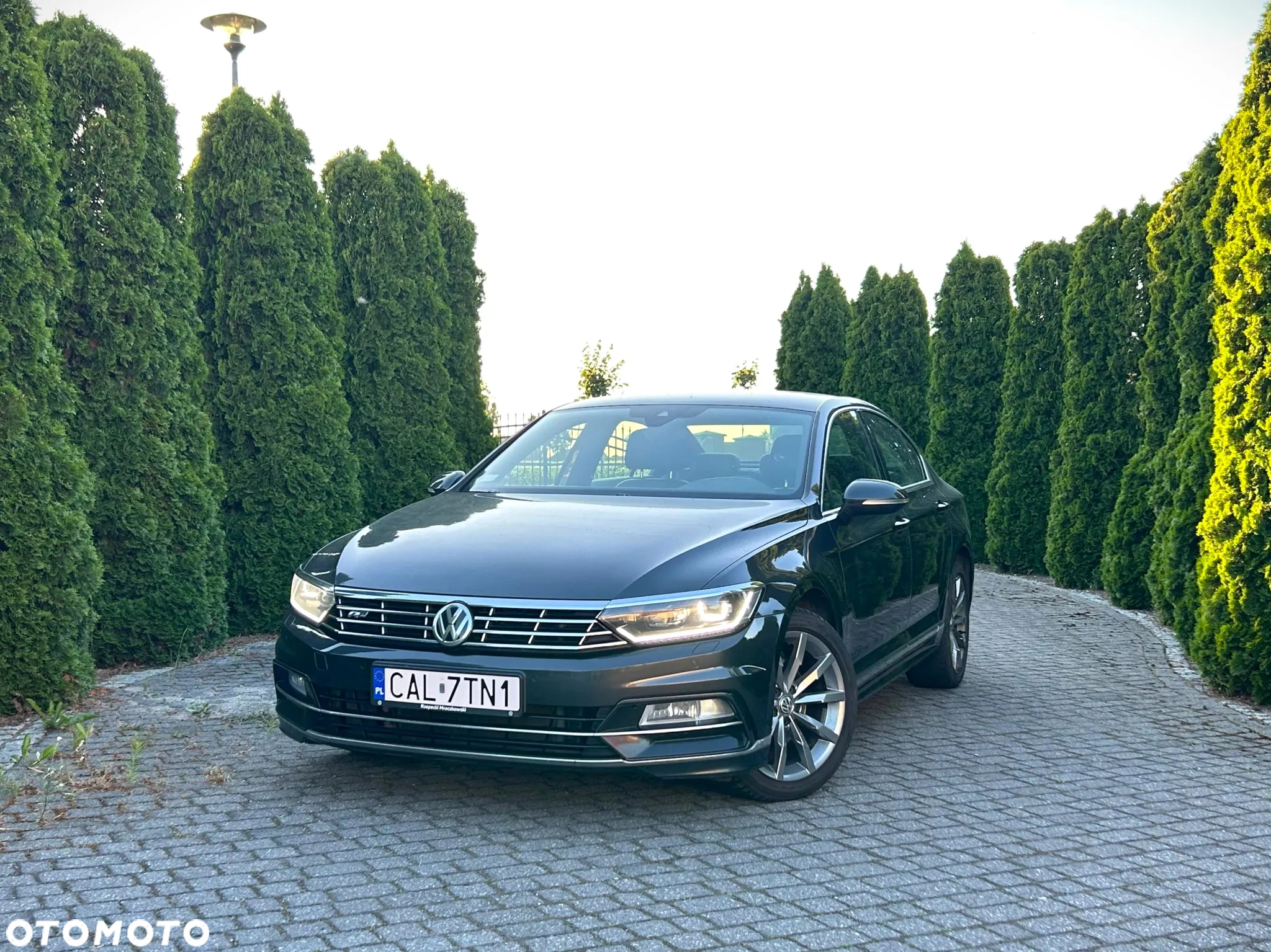 Volkswagen Passat - 4