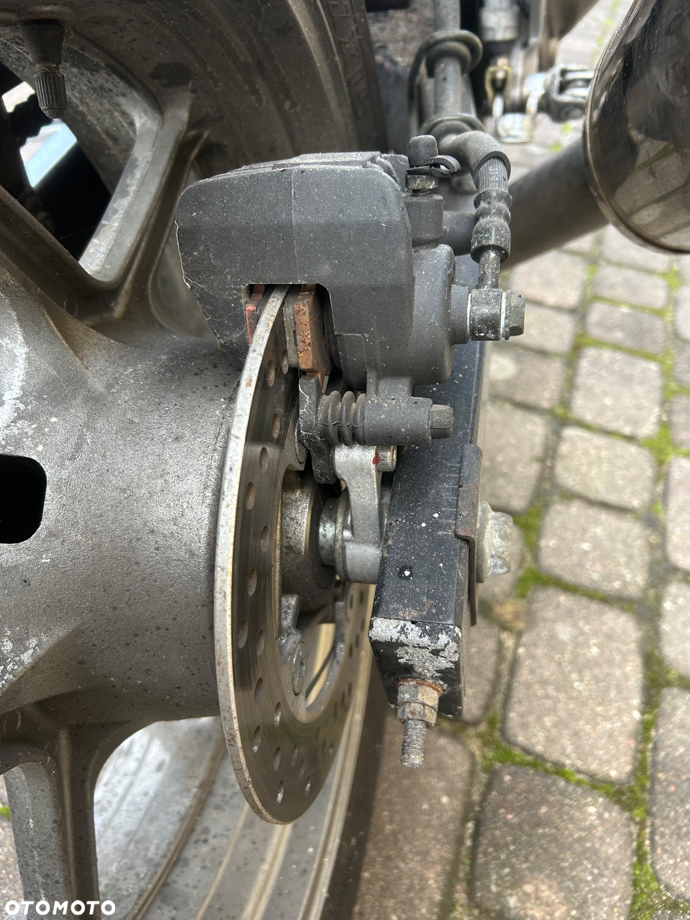 Kawasaki Z - 5