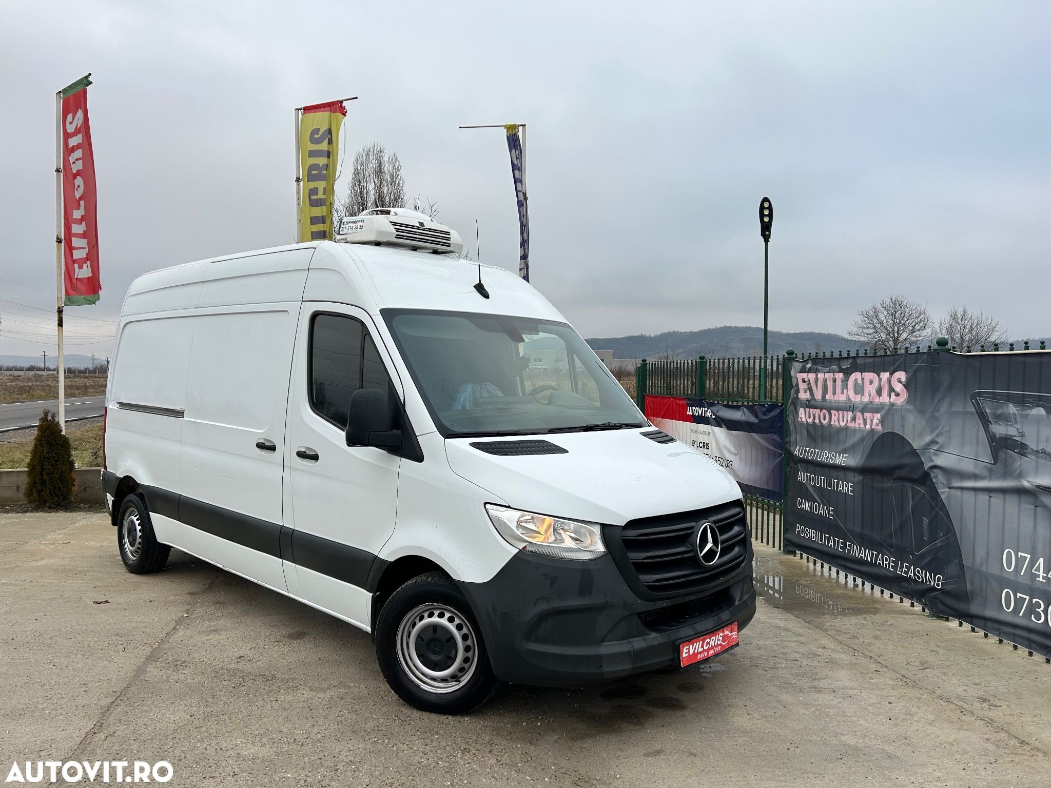 Mercedes-Benz Sprinter FRIGORIFIC THERMO KING - 1