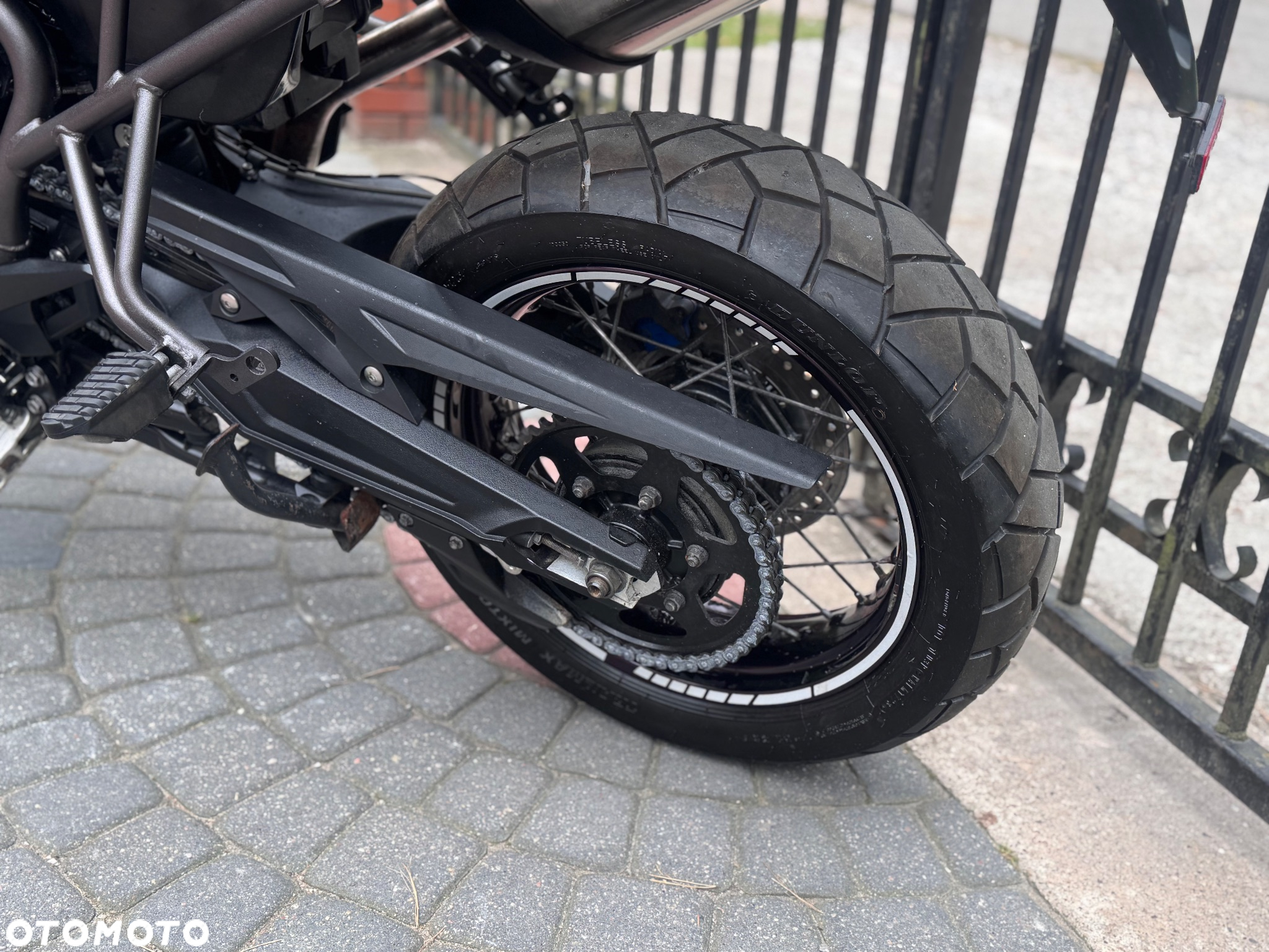 Triumph Tiger - 21