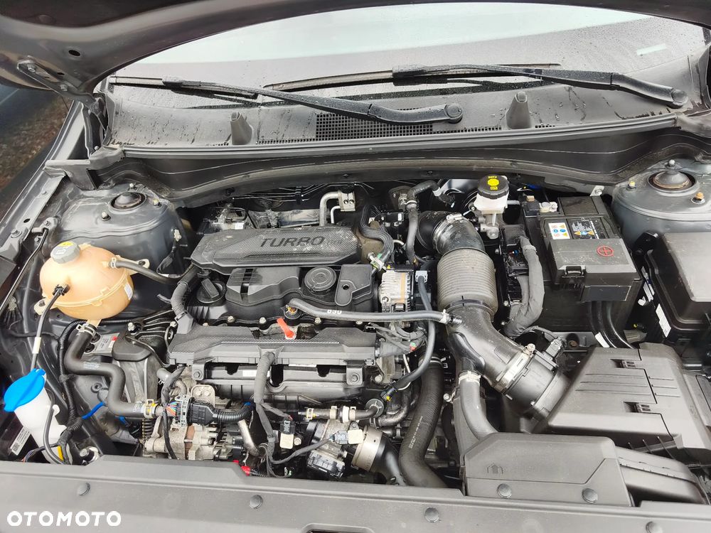 Kia Sportage 1.6 T-GDI MHEV L 2WD DCT - 20