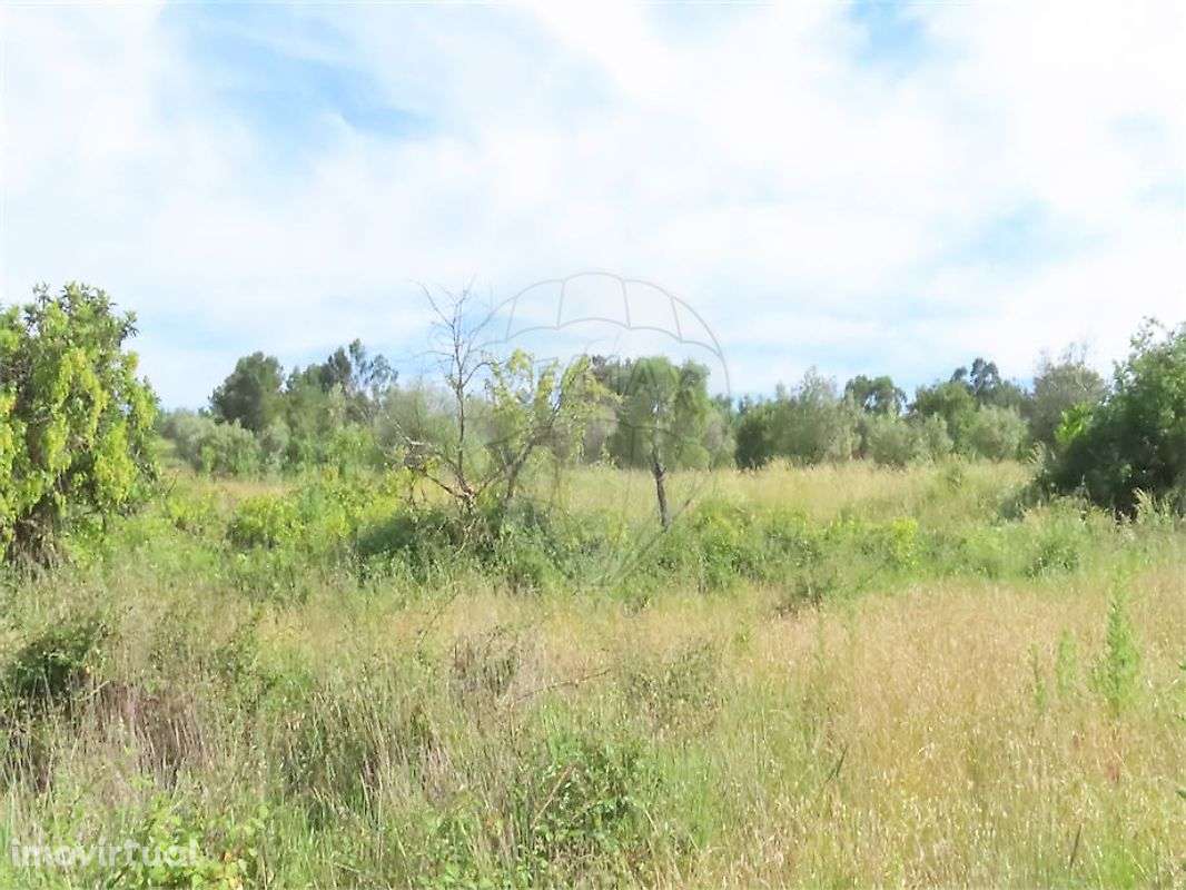 Quinta  para venda - Grande imagem: 5/43