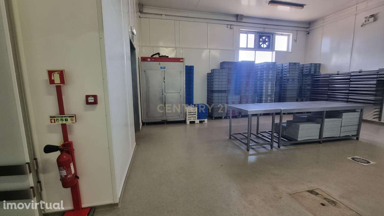 Fábrica de Bolos - Pastelaria Vitória - Oportunidade Única de Investim - Grande imagem: 2/13