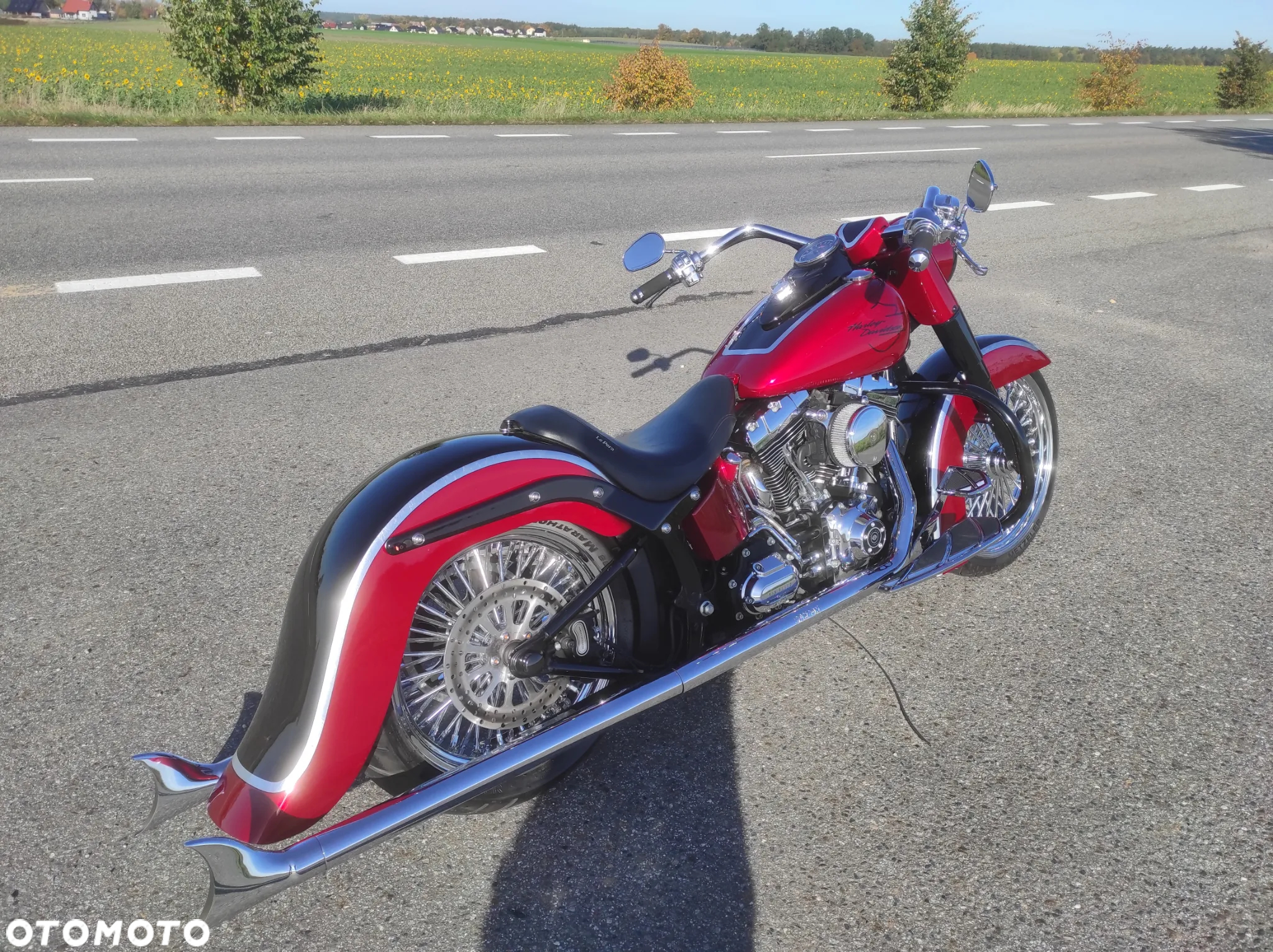 Harley-Davidson Softail Heritage Classic - 14