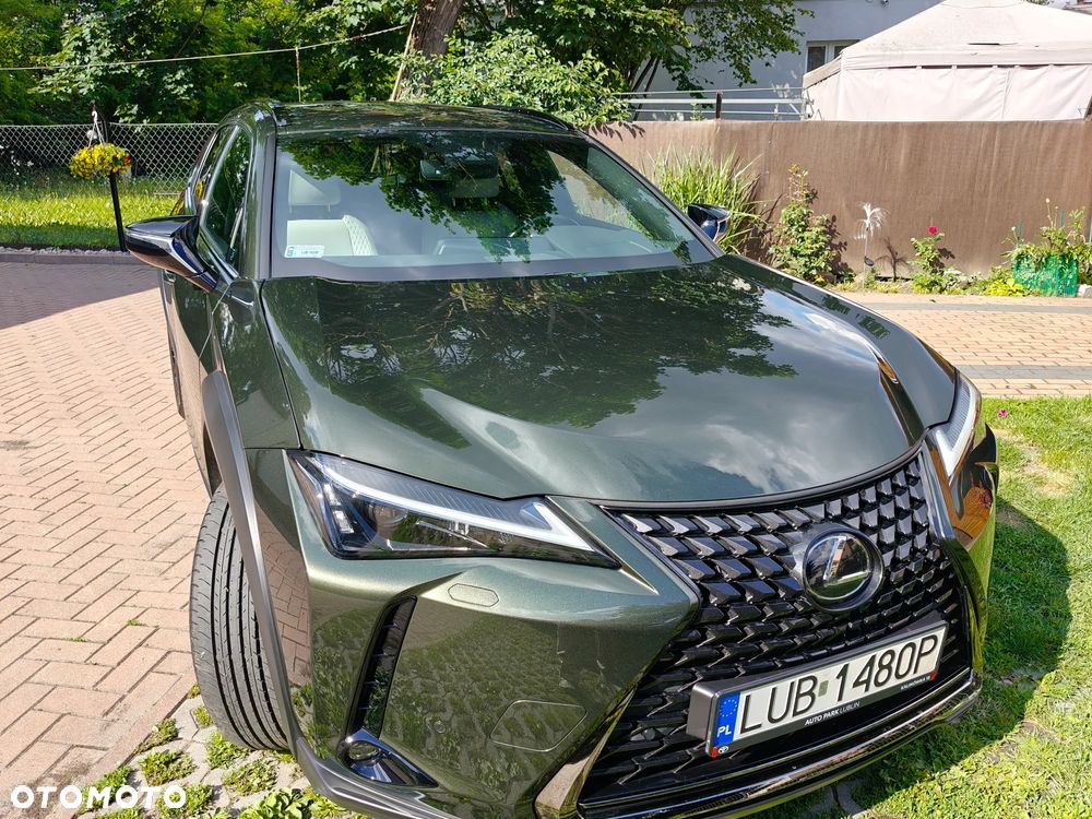 Lexus UX - 14