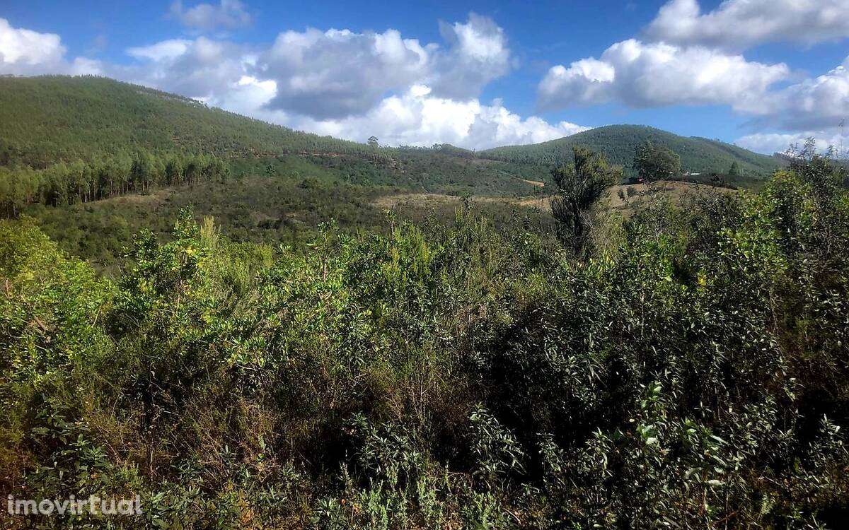 Terreno Rústico - Grande imagem: 4/7