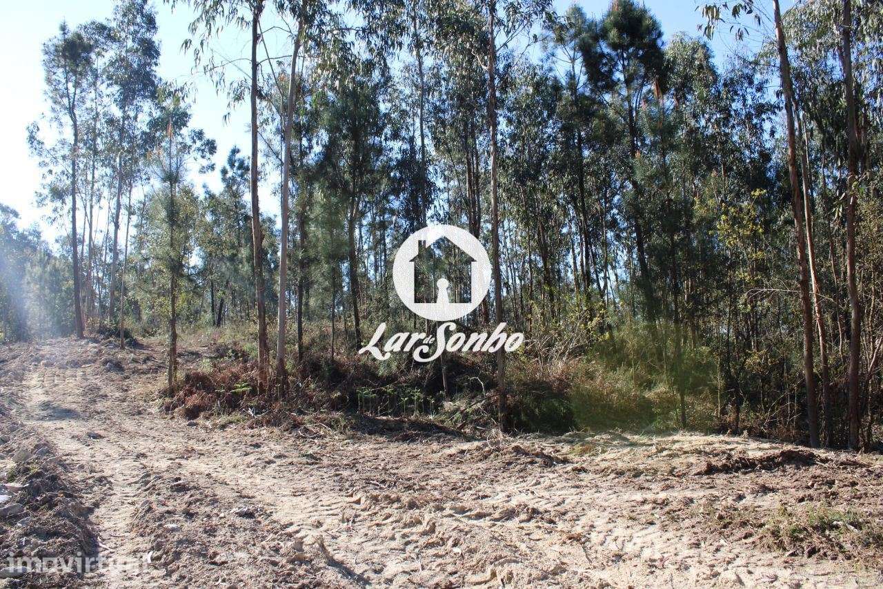 Terreno para construção - Grande imagem: 2/23