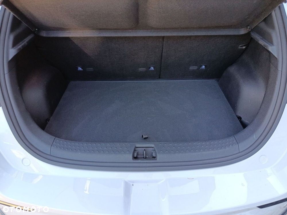 BYD Dolphin - 19