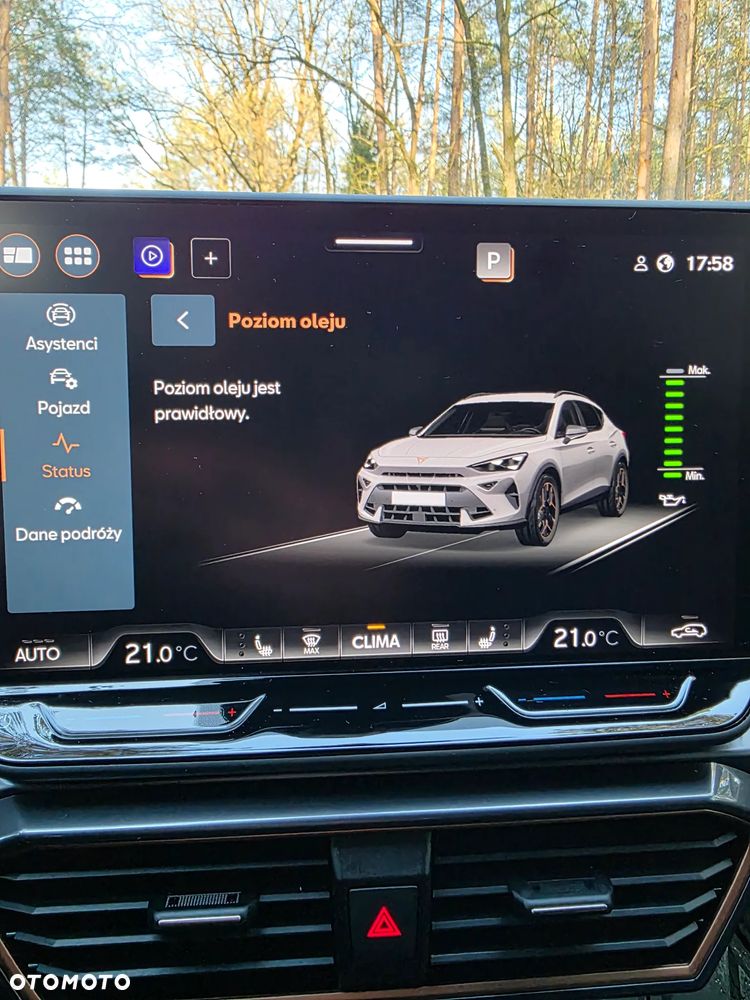 Cupra Formentor 2.0 TSI 4Drive DSG VZ - 30