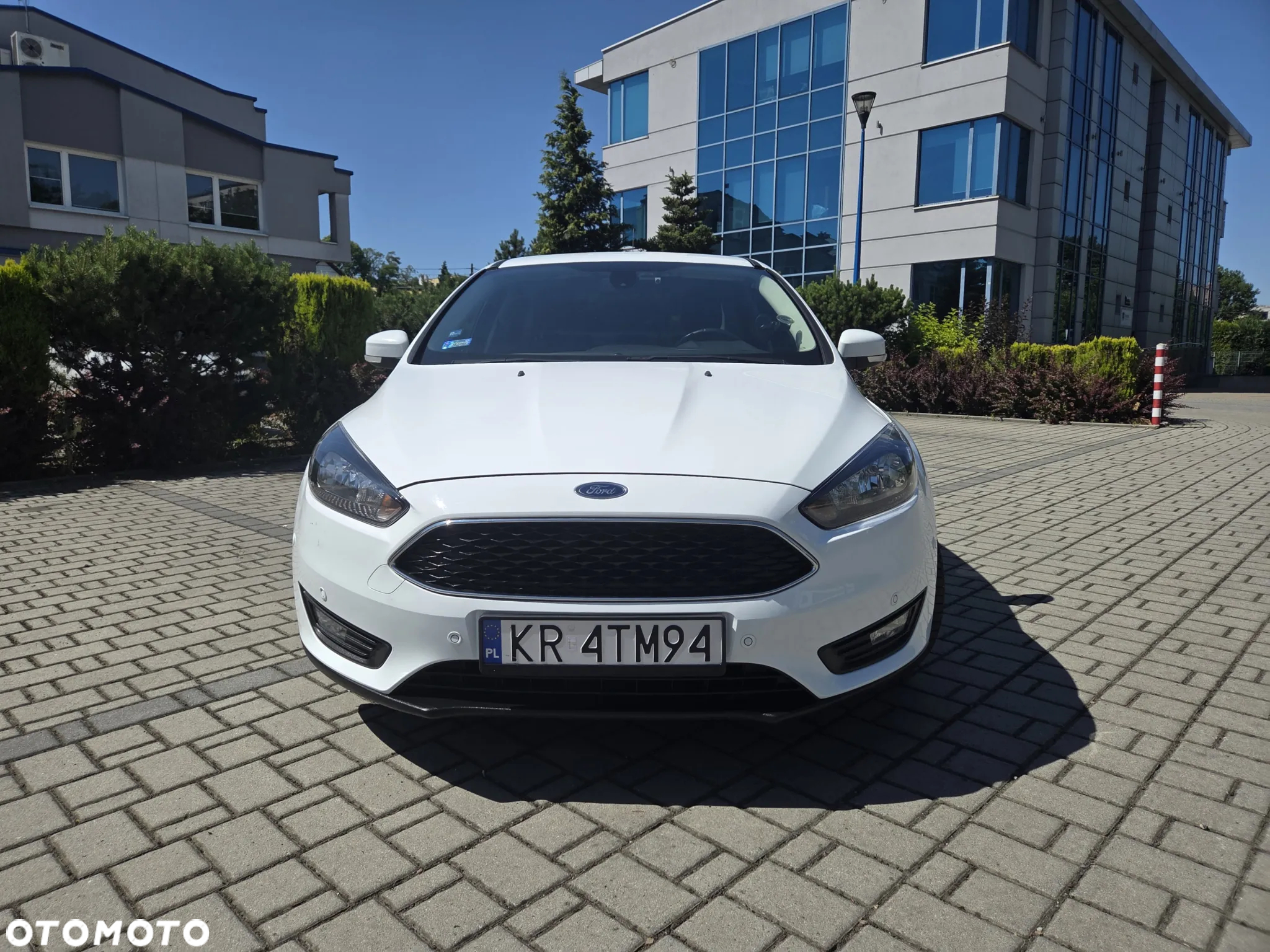 Ford Focus - 6