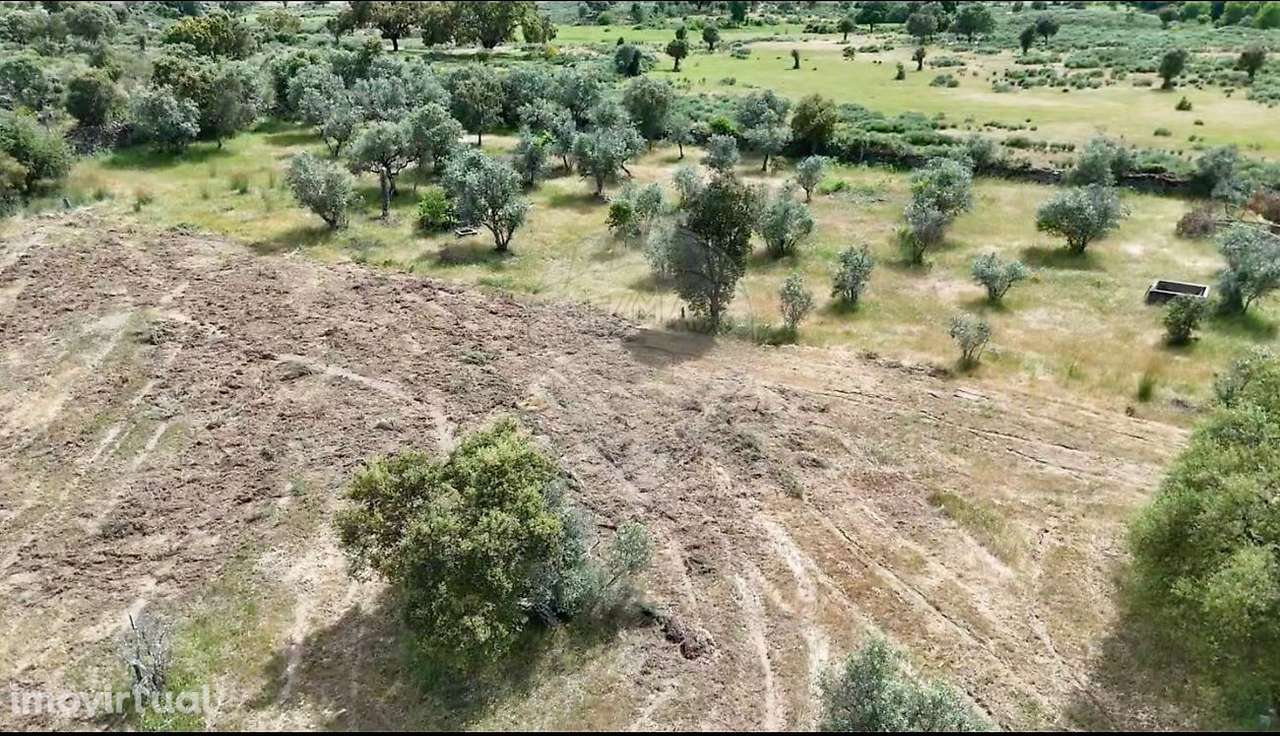 Terreno  para venda - Grande imagem: 4/12