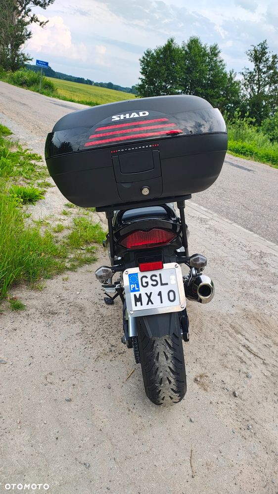 Suzuki Bandit - 3