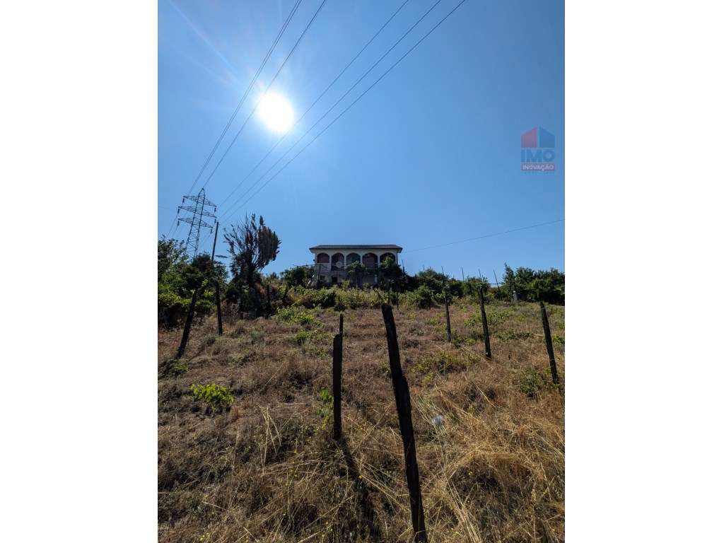QUINTA COM MORADIA T3 PISCINA TERRENO E ANEXOS - Grande imagem: 3/53