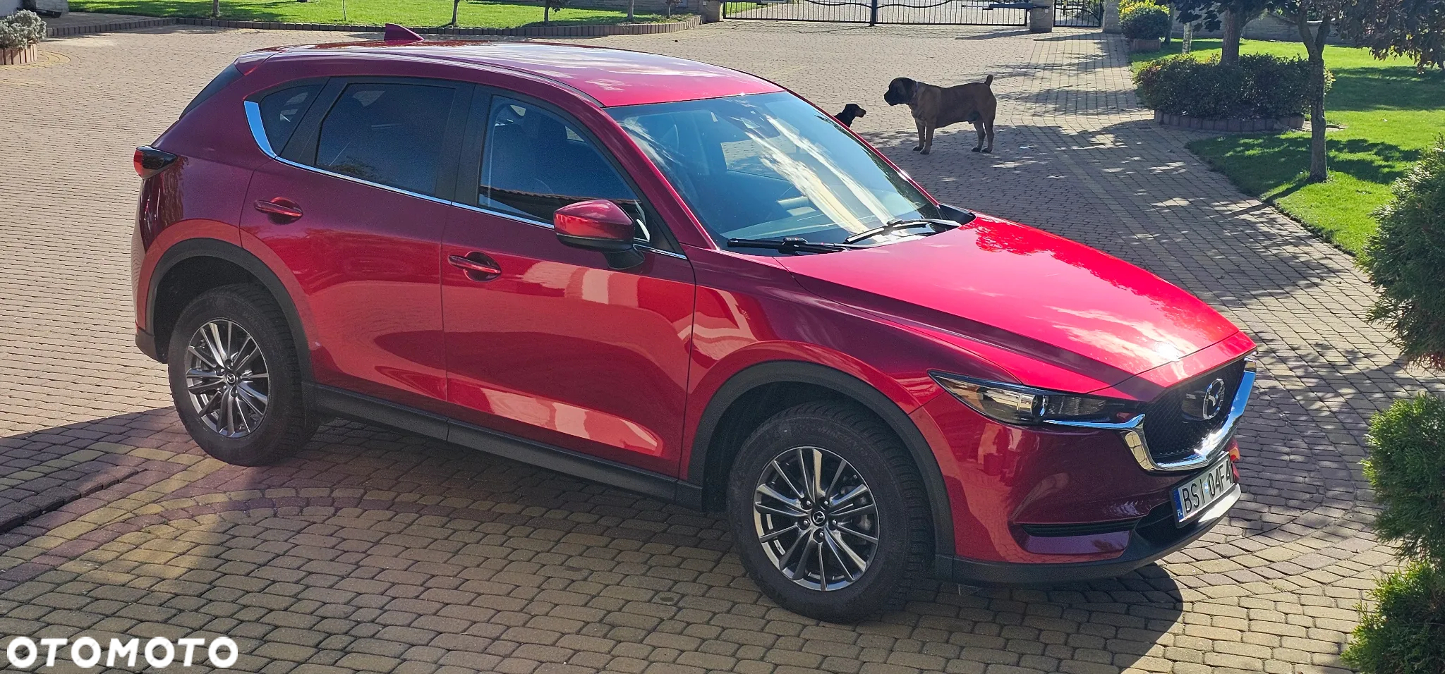 Mazda CX-5 2.5 Skyprestige AWD - 21