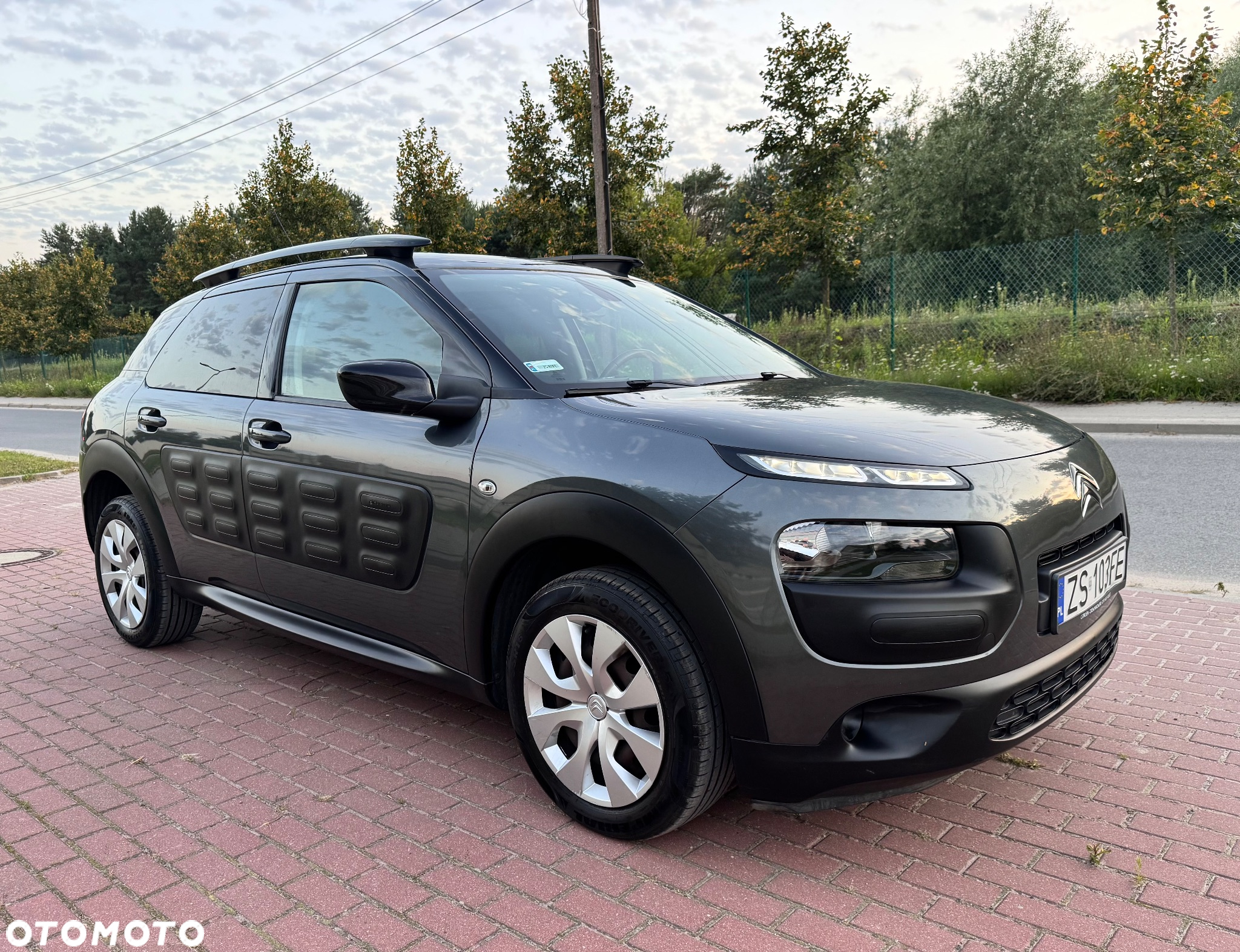 Citroën C4 Cactus 1.2 PureTech Shine S&S ETG - 3