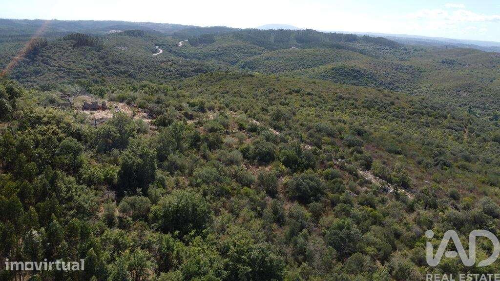 Terreno em Freixianda, Ribeira do Fárrio e Formigais de 15939,00 m2 - Grande imagem: 3/17