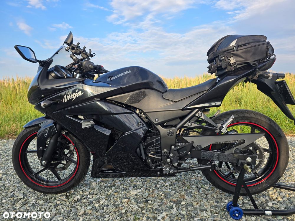 Kawasaki Ninja 250R - 2