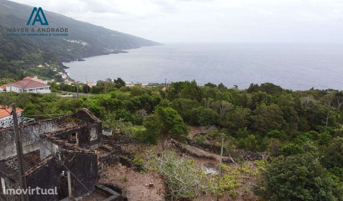 Quintinha Ribeiras- Ilha do Pico - Grande imagem: 3/19