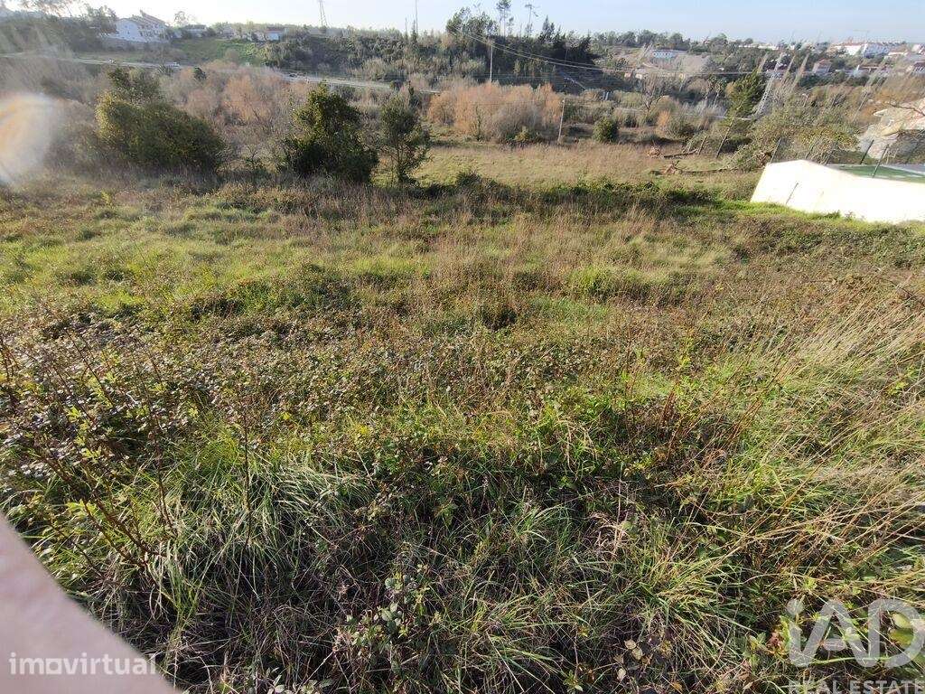 Terreno para construção em Batalha - Grande imagem: 3/26