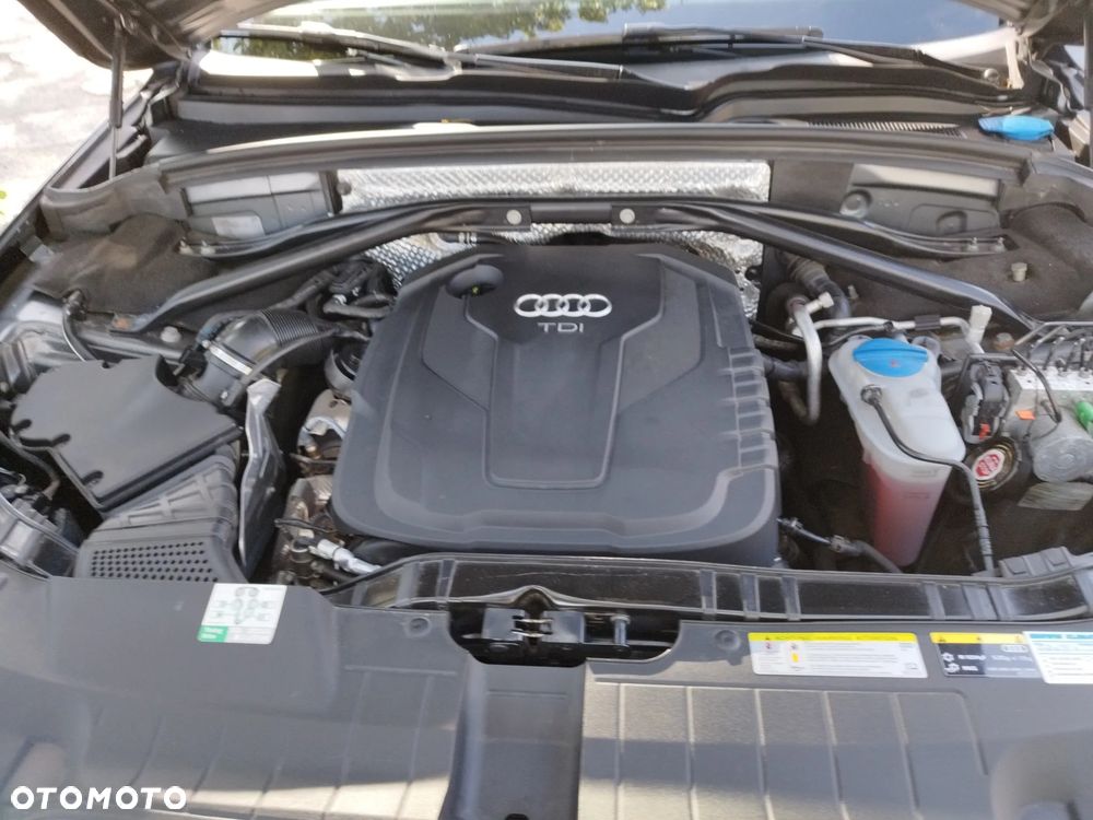 Audi Q5 - 19