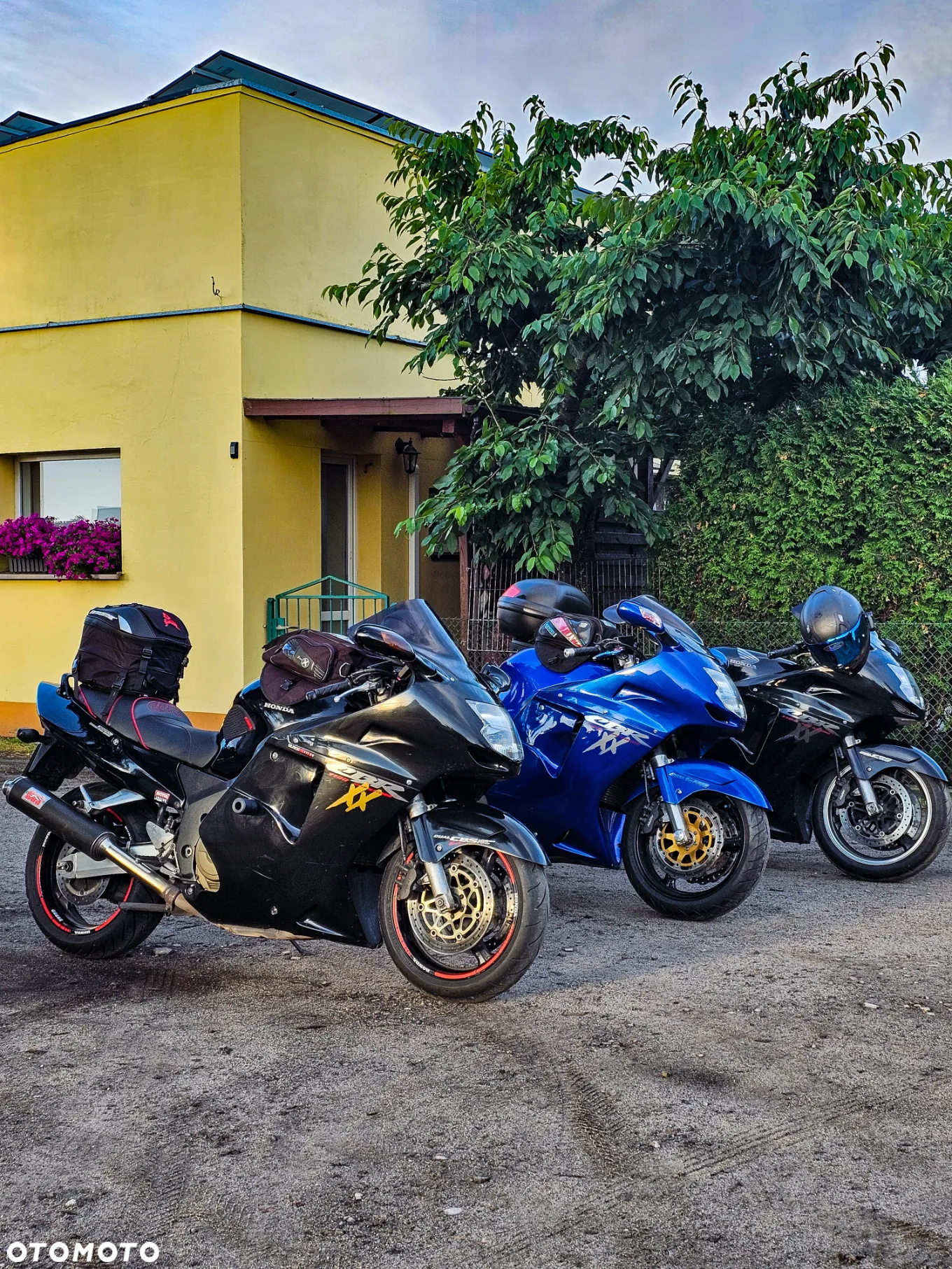 Honda CBR - 33