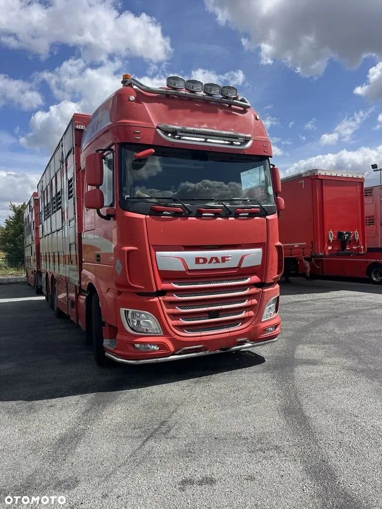 DAF XF 460 + Przyczepa Pezzaoli - 3X Trzoda, 2 X Bydło I 3 poziomy  I Podnoszony dach I Hydroburta I Osie Skrętne I Poidła I Wentylatory I Pilot Manualny | Euro5 - 1