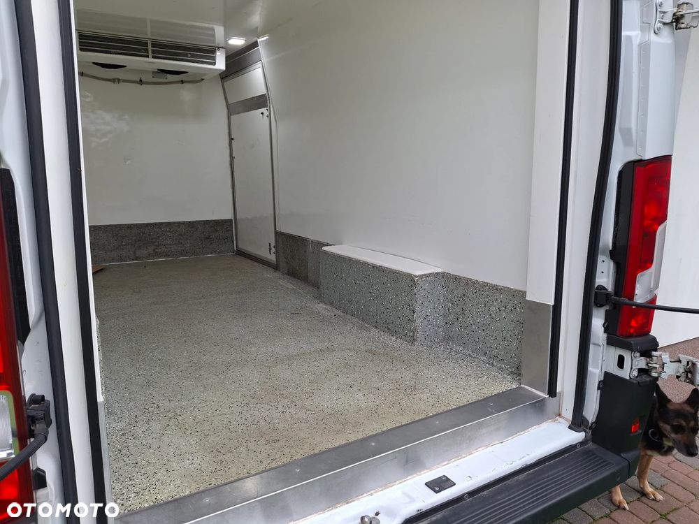 Fiat Ducato Maxi  Chłodnia/Mroznia - 22
