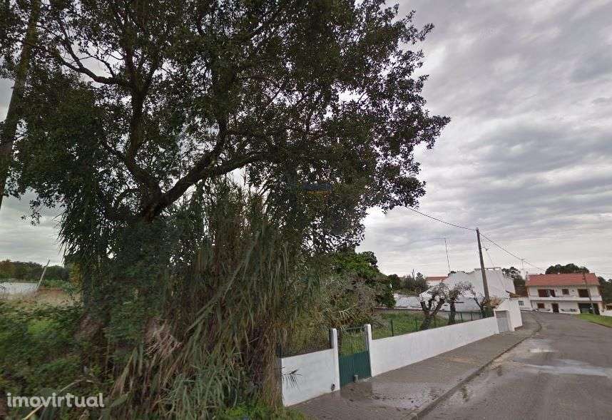 Quinta com 9788m2 de Terreno em Coruche - Grande imagem: 3/9